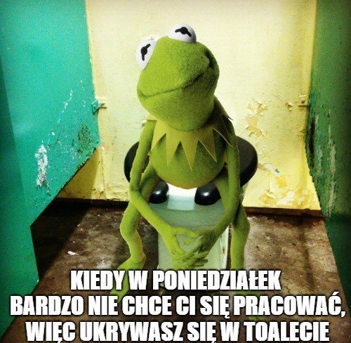 Żaba ukrywająca się w toalecie